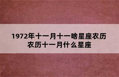 1972年十一月十一啥星座农历 农历十一月什么星座